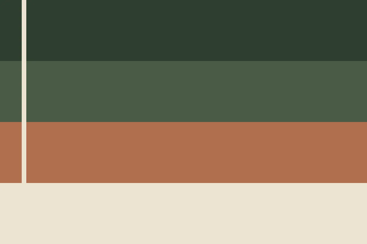 Decorative color graphic for the Hillsborough County probate guide