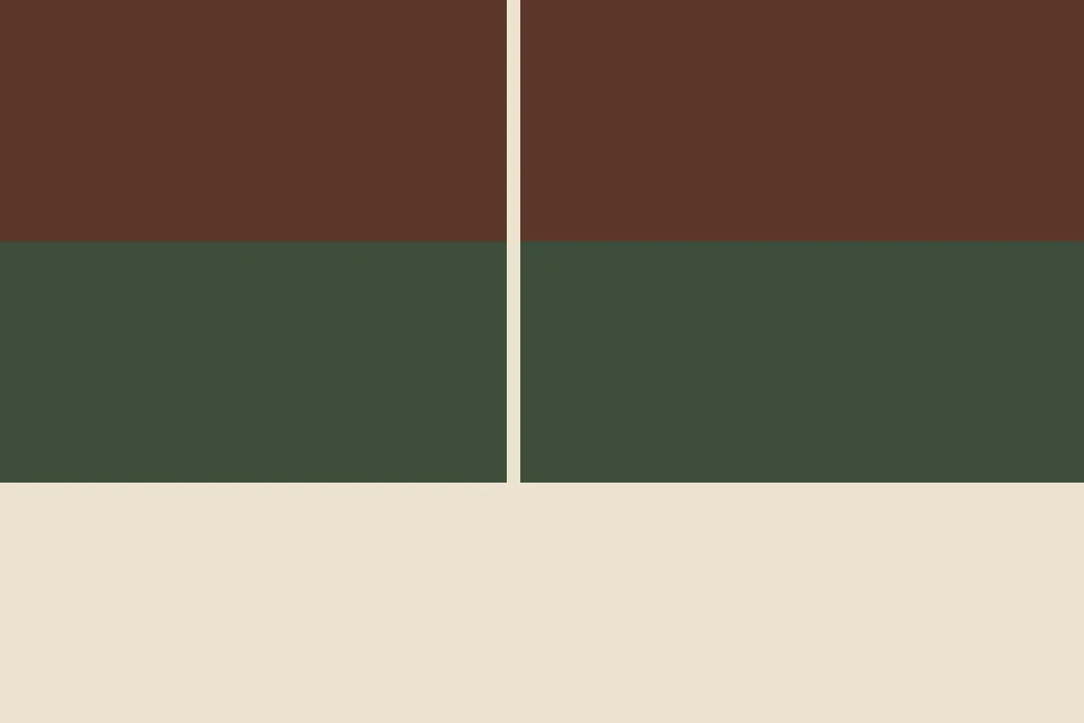 Decorative color graphic for the Marion County probate guide